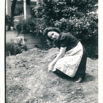 Featured photo of Bombi Dausin